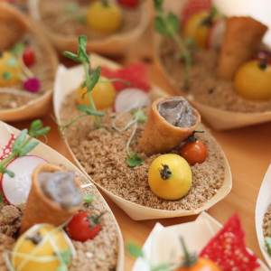 conradpune conradpune